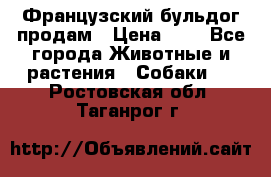 Французский бульдог продам › Цена ­ 1 - Все города Животные и растения » Собаки   . Ростовская обл.,Таганрог г.